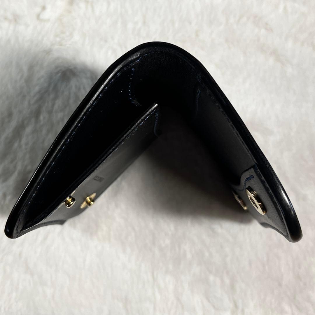 も*ん様 WILDSWANS ワイルドスワンズ コードバン 特注 パーム v2