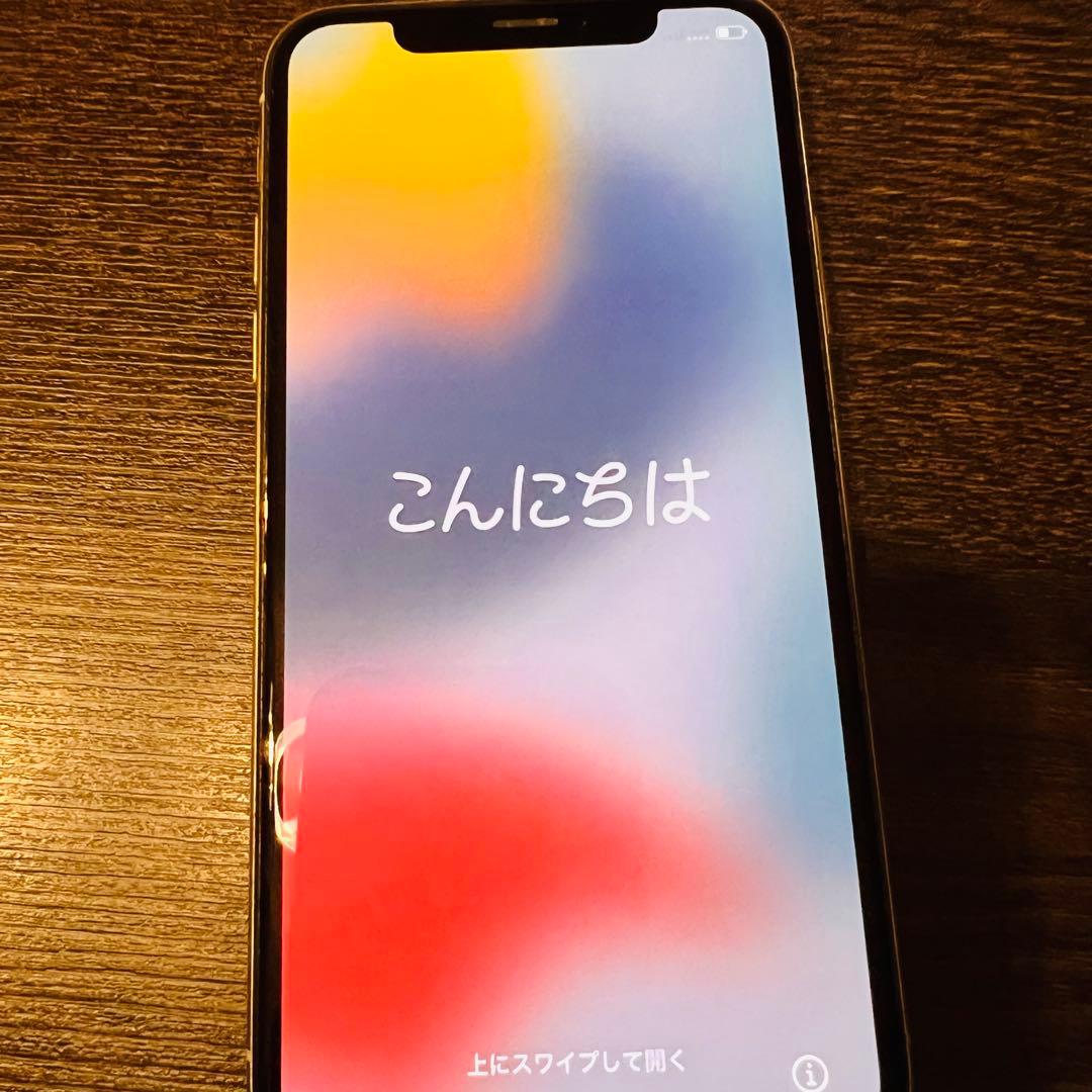 iPhone X 64GB 本体 SIMフリーデータ消去オプション込み