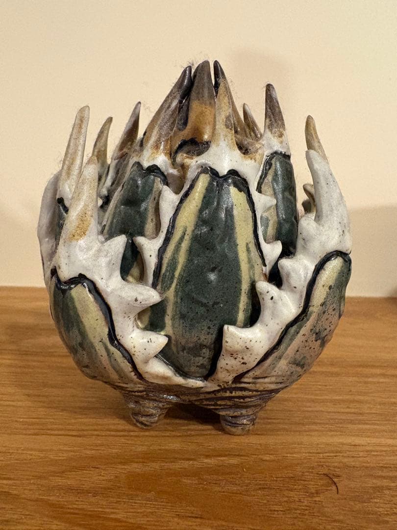 Yei Tao 大眼 Agave horrida 黎明 Hazel eyes