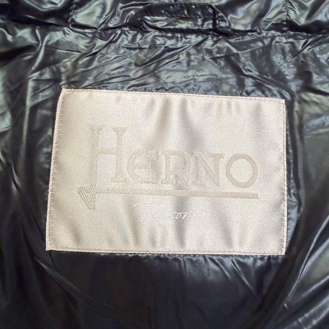 未使用級Lサイズ相当　ヘルノ　Resort ダウンジャケット　エコファー　フード