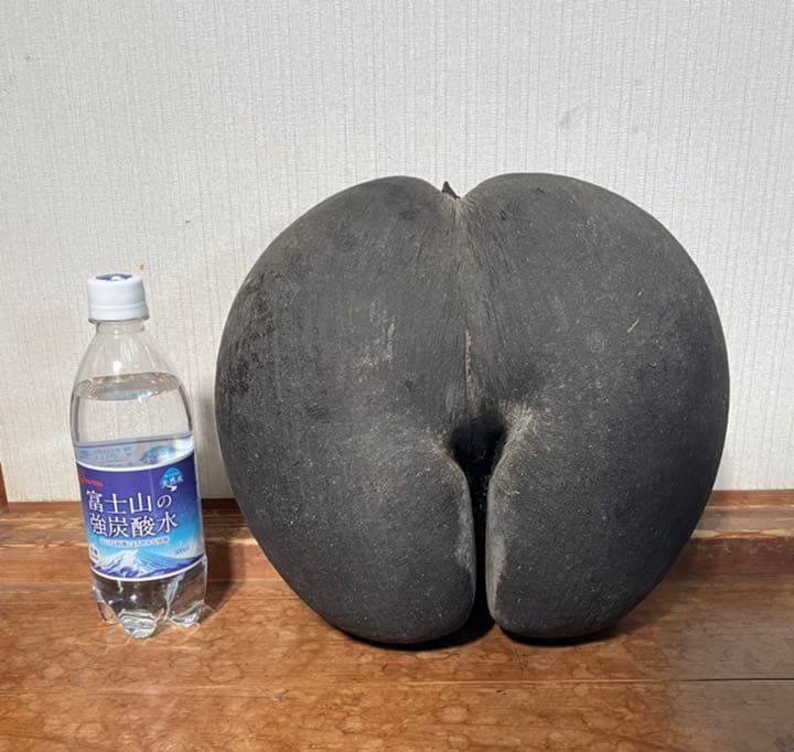 フタゴヤシ