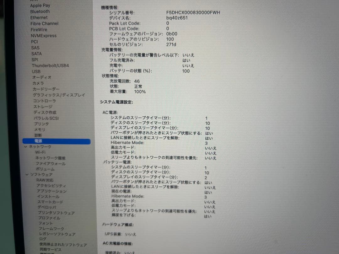 しまうまとくじら