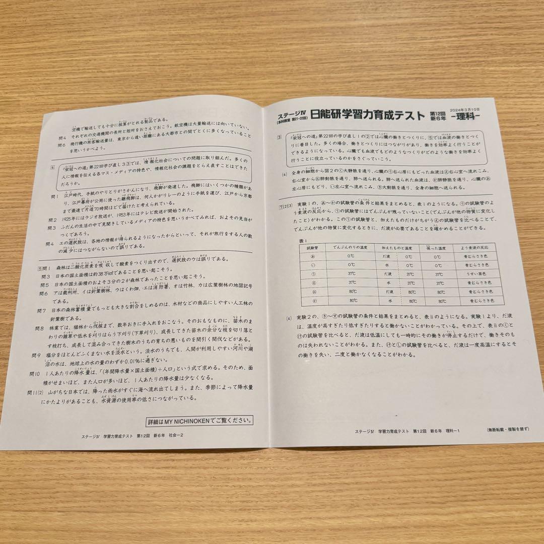 日能研 6年 学習力育成・合格力育成/実践テスト 解答解説付き 2024年度