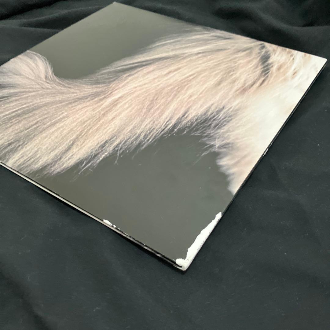 カネコアヤノ　燦々　LP レコード　アナログ盤