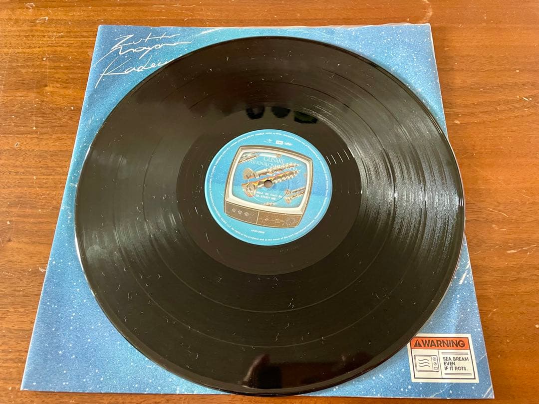 ぐされ＜受注生産限定アナログレコード盤＞ ずっと真夜中でいいのに。