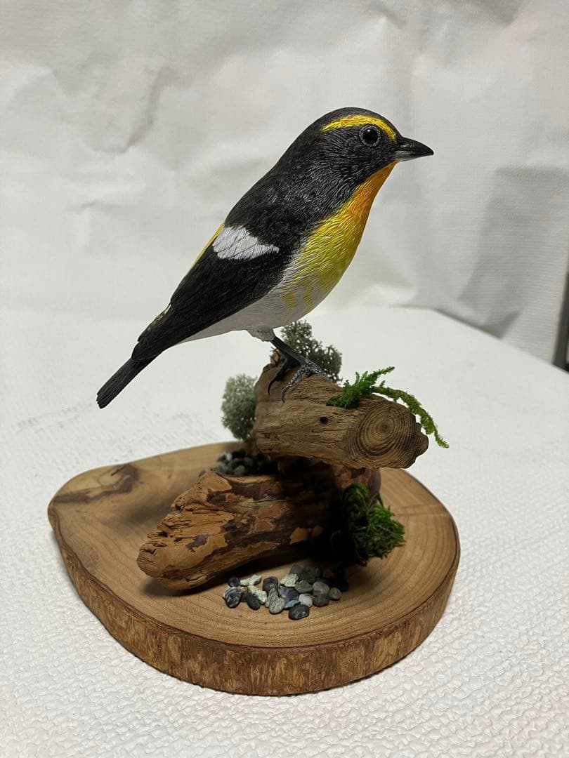 バードカービング(キビタキ)