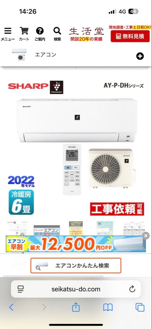 【引き取り限定】SHARP AY-P22DHシリーズ エアコン本体 6畳用