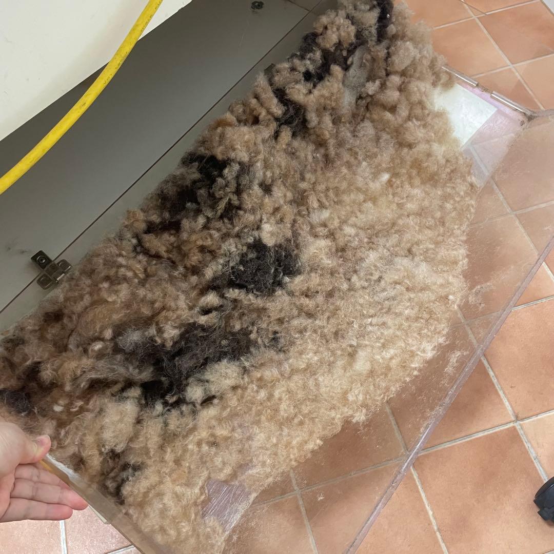 毛を吸い取るトリミングテーブル