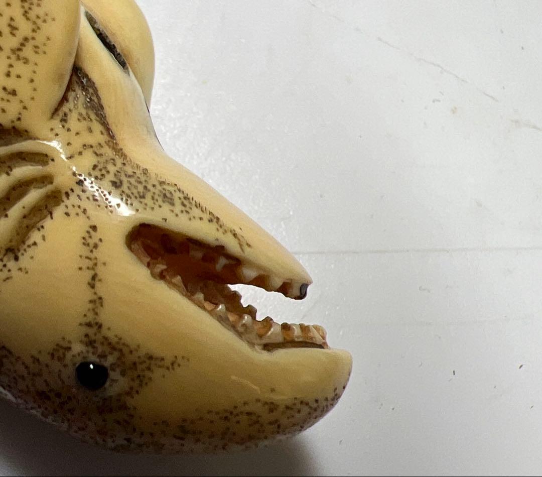 極上シャチ根付　15g 東Y8-0203☆2Fトヒサ