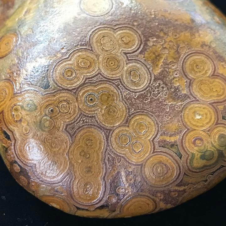 ゴビ石−817 眼石＆水晶ドーム　原石　鑑賞石