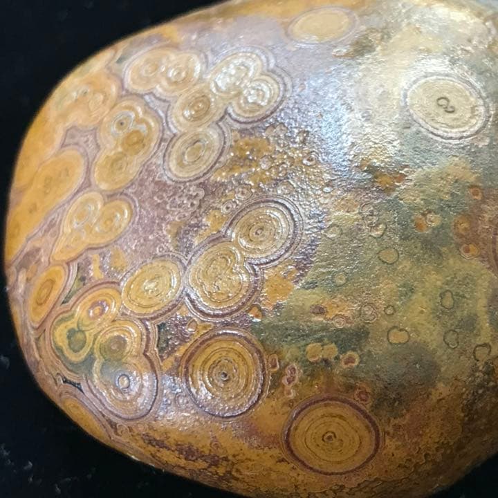 ゴビ石−817 眼石＆水晶ドーム　原石　鑑賞石