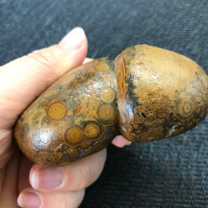 ゴビ石−817 眼石＆水晶ドーム　原石　鑑賞石