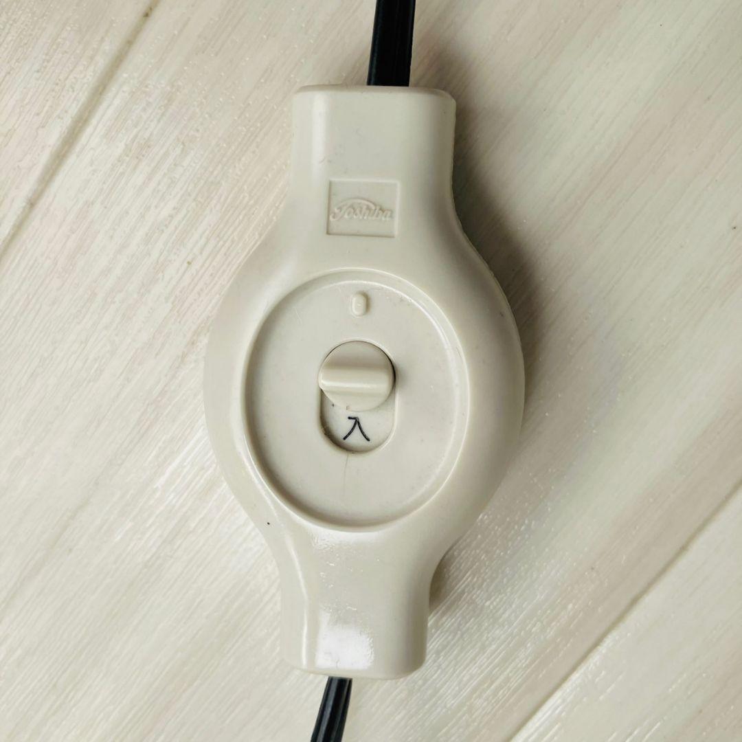 70'S MAZZEGA Murano 3灯フロアスタンド カルロ・ナソン