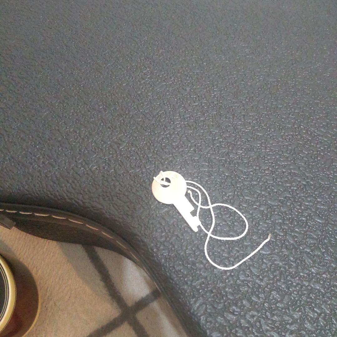 OmbrageページEpiphone Sheraton II Gibson