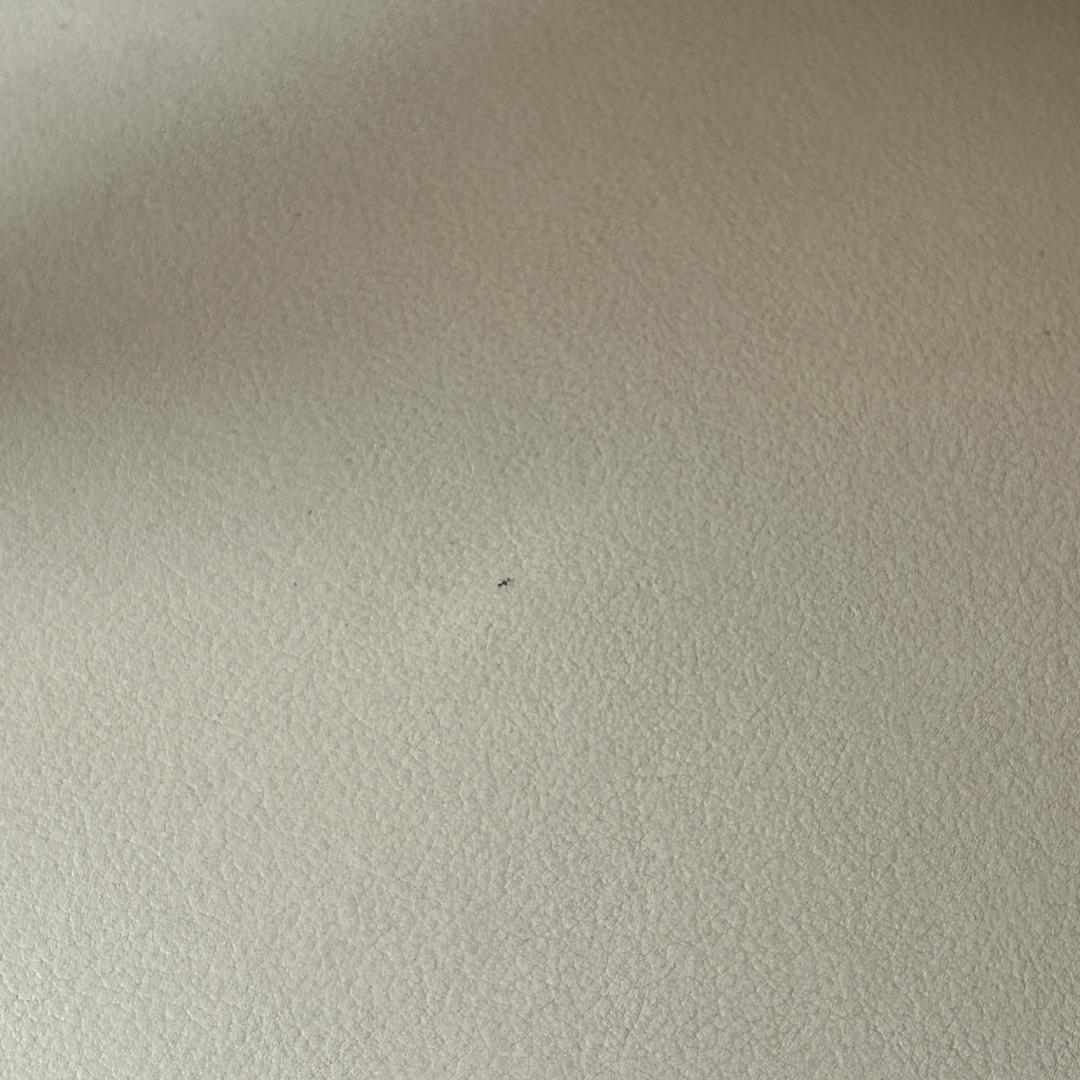 イギリス アンティーク家具 アーム チェア 1970年頃 863A