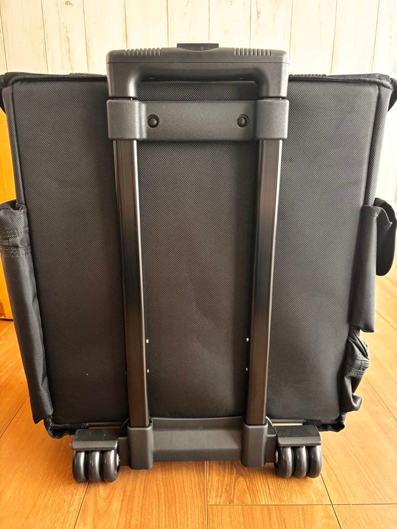 アーティストキャリアー　新品未使用