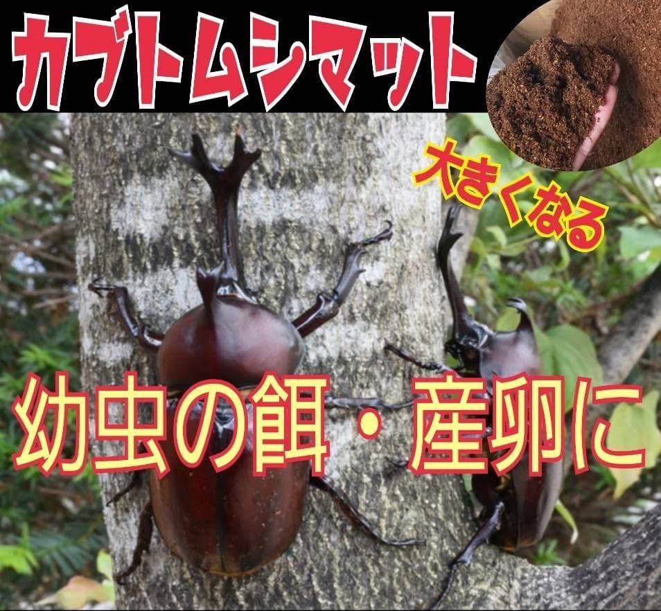 カブトムシ幼虫が大きくなる！栄養たっぷり！発酵マット【6袋】雑虫も湧きません！