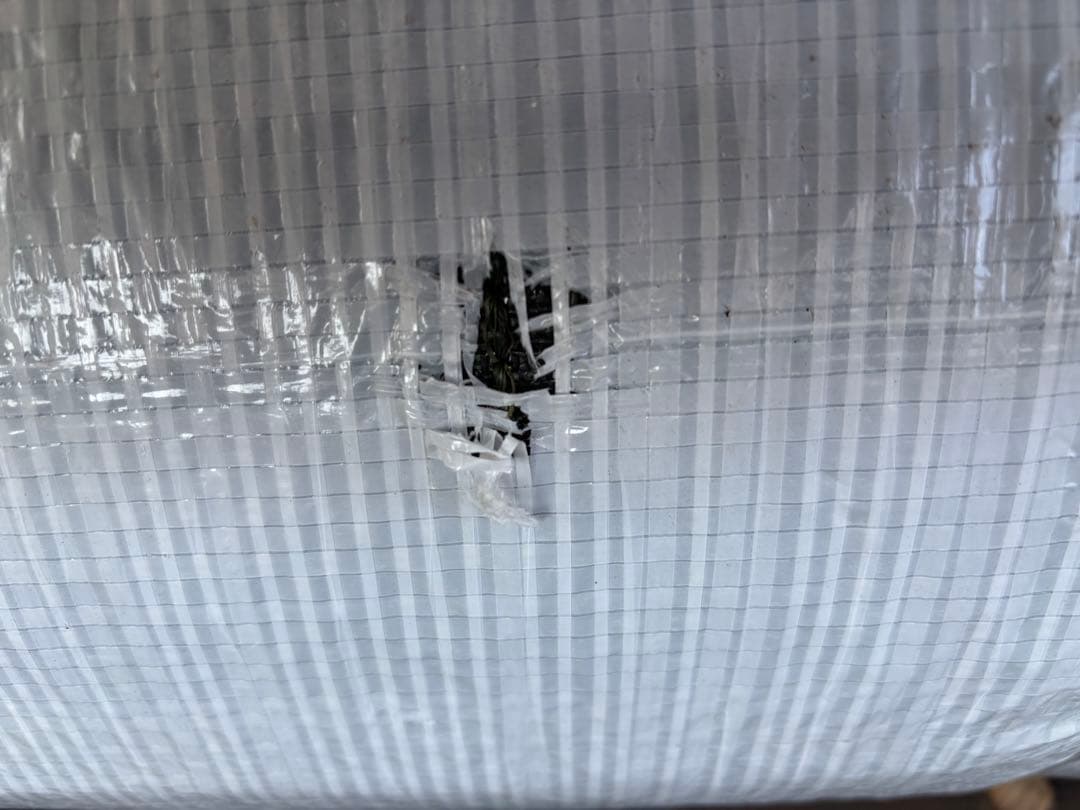 リアル人工芝 1m×10m アイリスオーヤマ 防草シート一体　U字釘24本付き