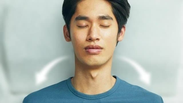 ブレインスリープピロー ストレッチ(本体のみ）