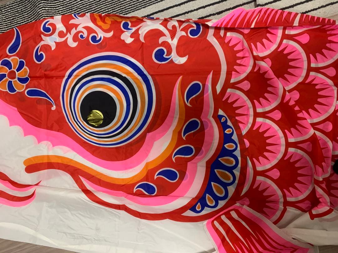 鯉のぼり　5m 日本岐山鯉　赤　単品　こいのぼり