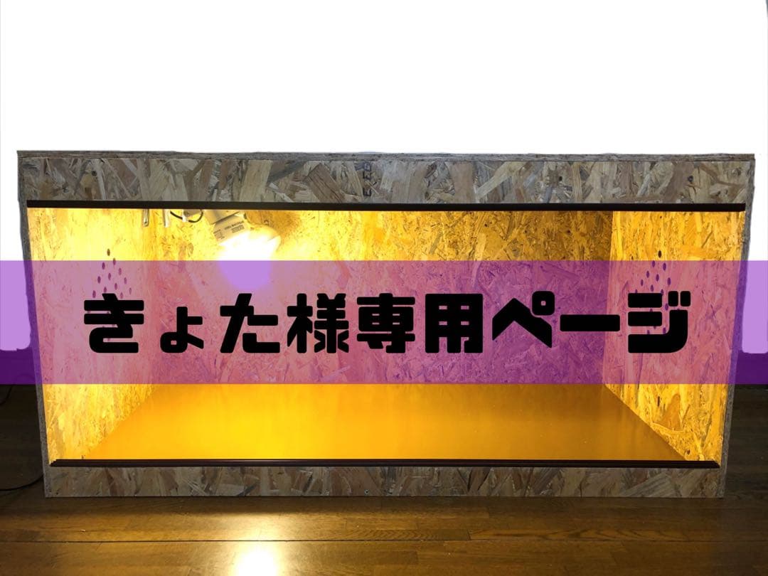 きょたページ