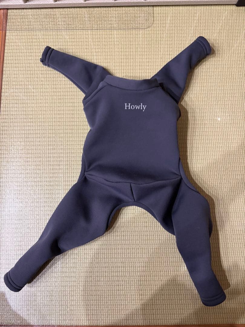 イタグレ服 howly sサイズ
