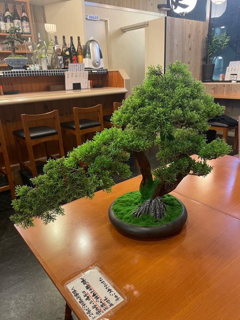 盆栽　フェイク