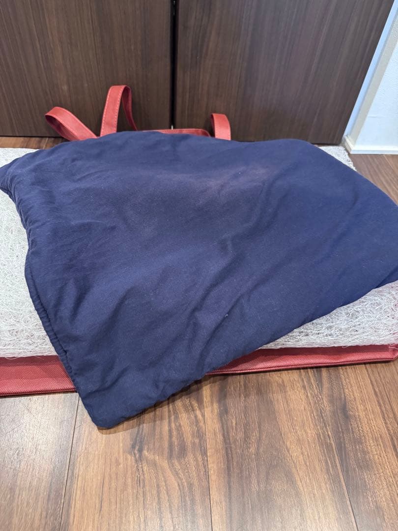 BRAIN SLEEP 枕・ピロー（品質保証期間内）