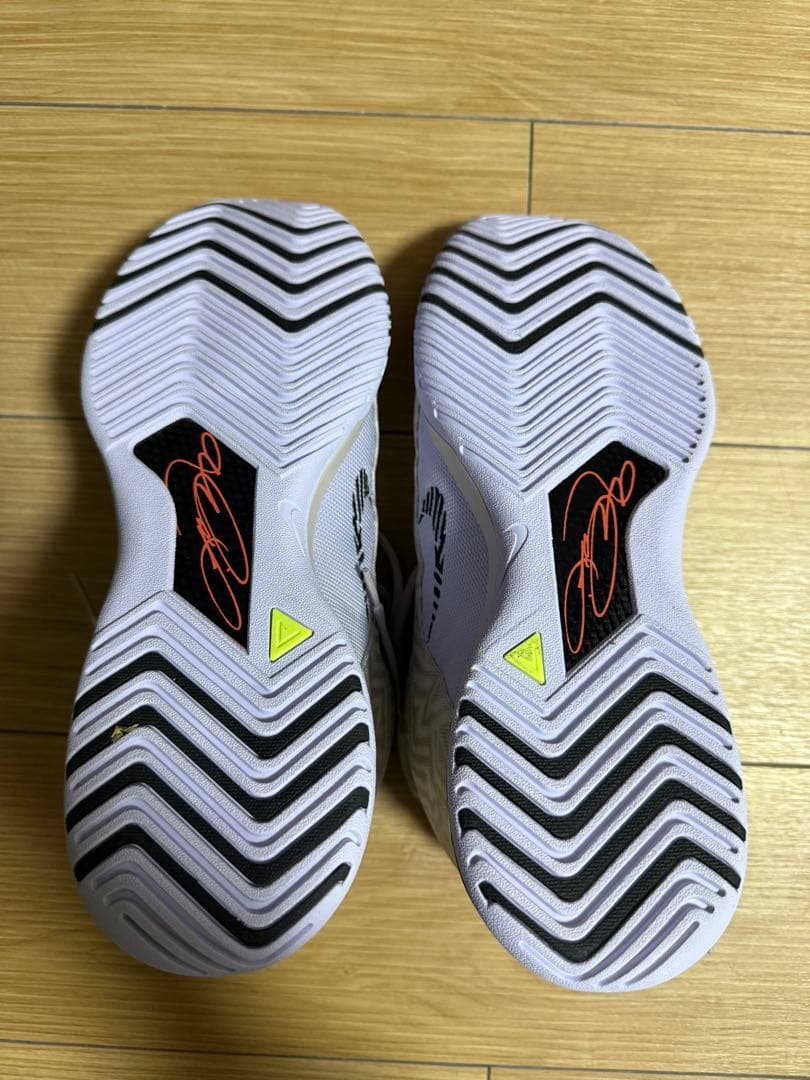 シューズ(男性用) Lebron NXXT GENISUS EP