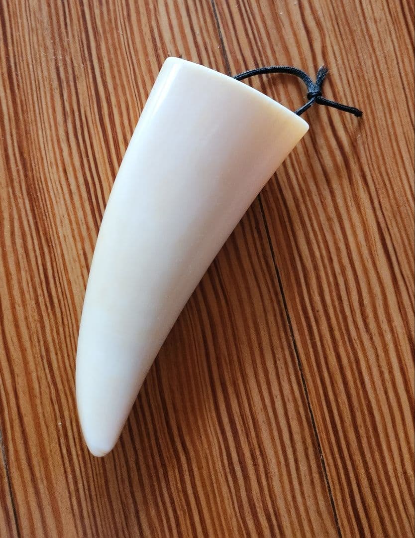 マッコウクジラの歯