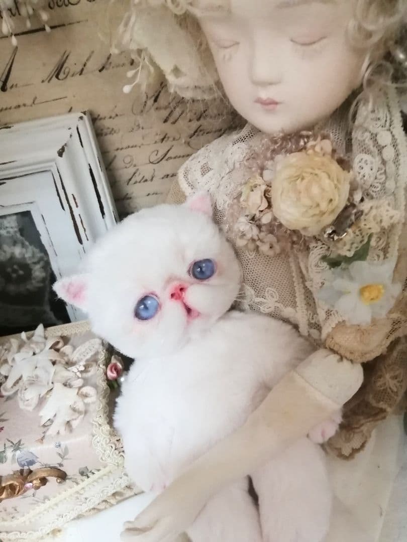 ポッケにゃん♡エキゾチック子猫ちゃん♡アートドール♡ぬいぐるみ♡ラビットファー調