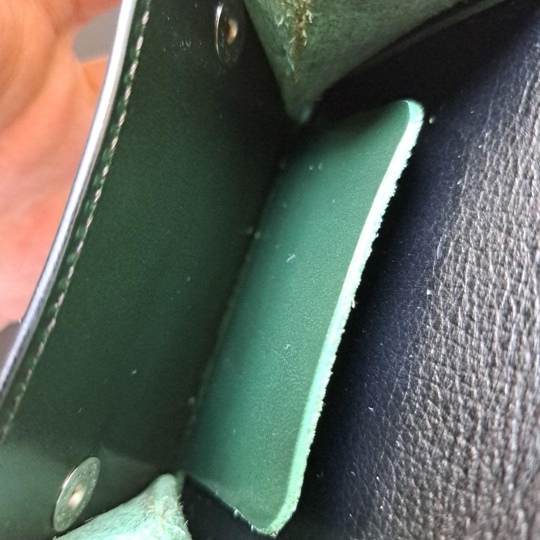 極美　ワイルドスワンズ　タング(ハト目)　サドル　グリーン