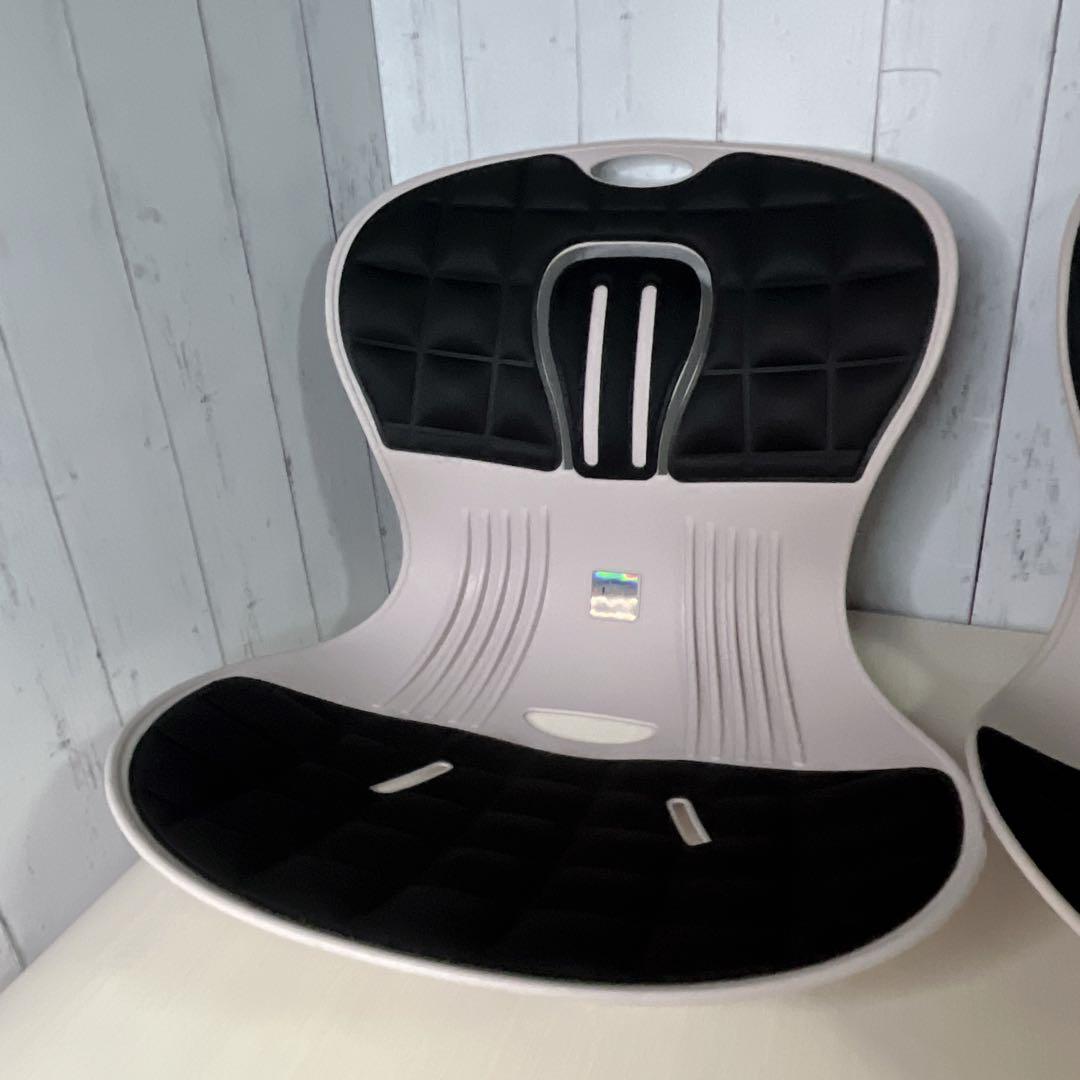 ピン・セスジ 骨盤サポート姿勢改善　２個セット　ピンセスジ