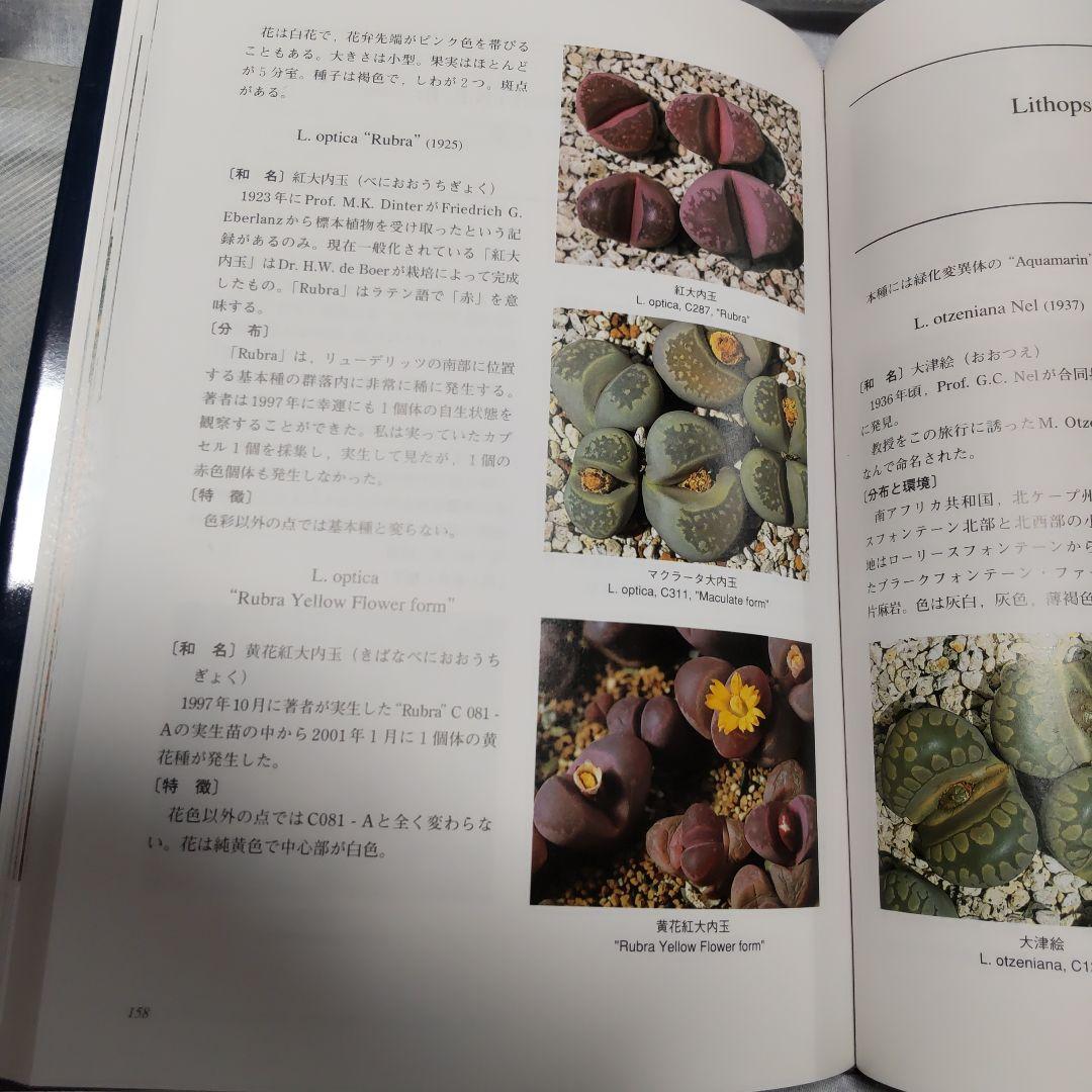 THE GENUS LITHOPS 生ける宝石リトープス