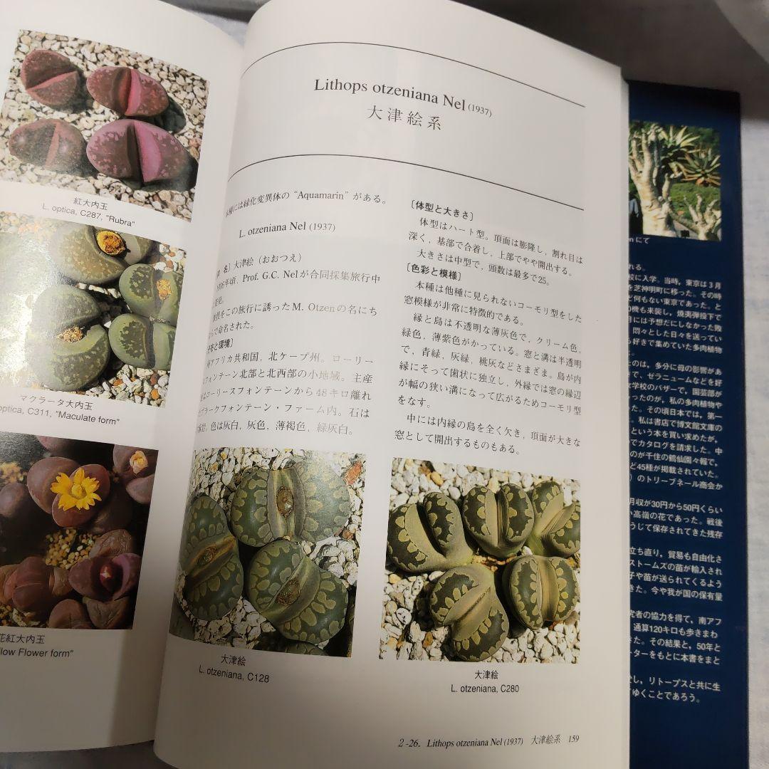 THE GENUS LITHOPS 生ける宝石リトープス