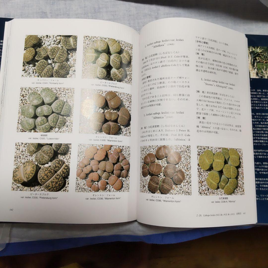 THE GENUS LITHOPS 生ける宝石リトープス