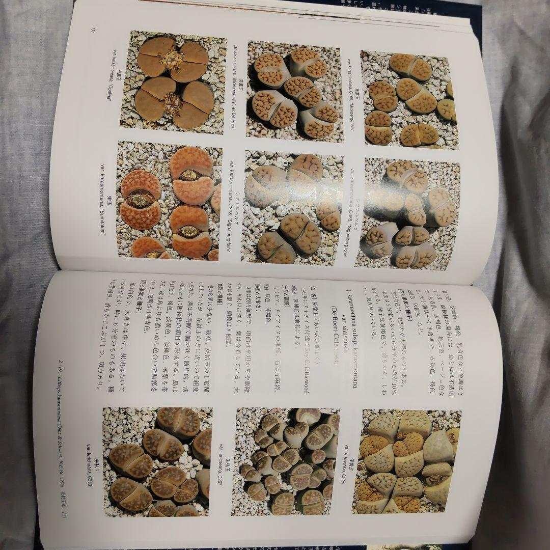 THE GENUS LITHOPS 生ける宝石リトープス