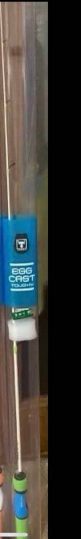 希少限定カラー　ジャッカル　エッグキャストタフィー110