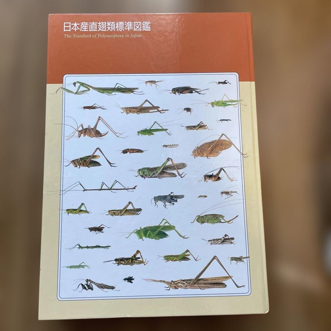 日本産直翅類標準図鑑