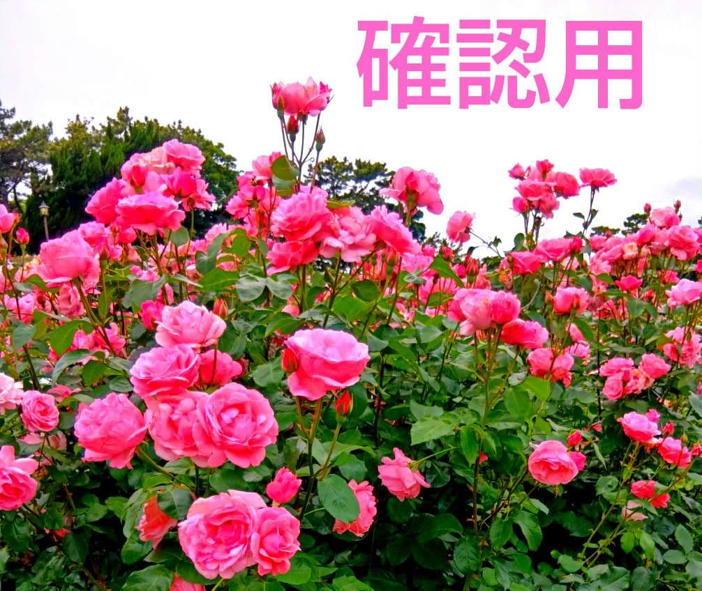 連絡、確認用ページ