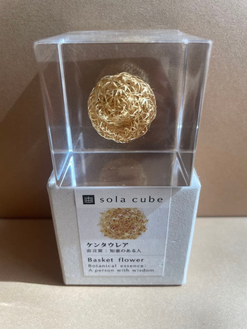 Sola Cube 置物3点セット