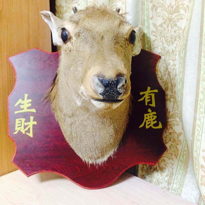 鹿の角（店部さまの縁起物）