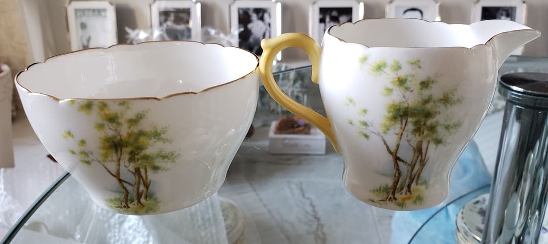 皆様画像確認用 ③ シェリー ダフォディルタイム  水仙 風景画 カップ