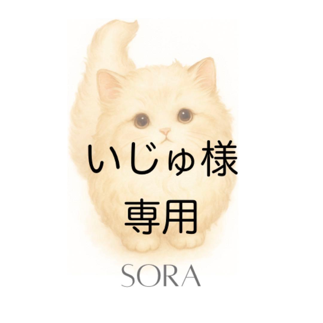 【いじゅ】まとめ買い　レジンバインダーNo.51+リフィル