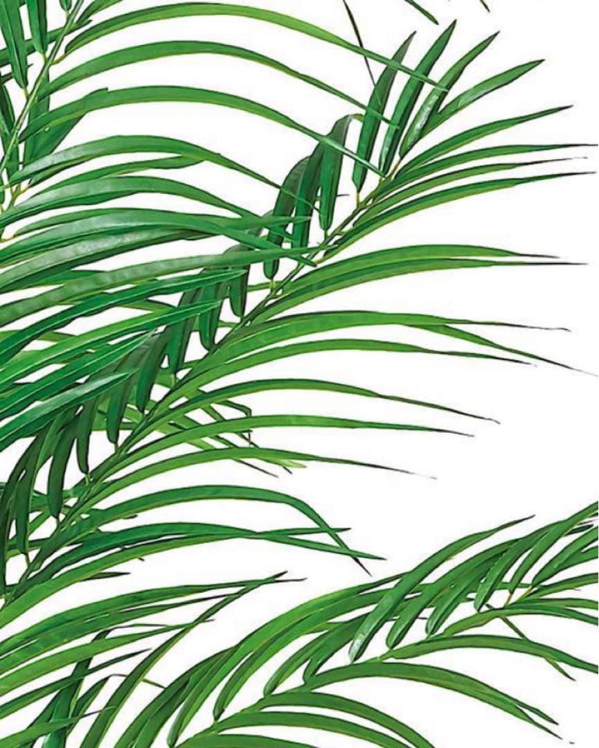 光触媒　人工観葉植物　ウォールグリーン　フェイクグリーン　アレカヤシ210
