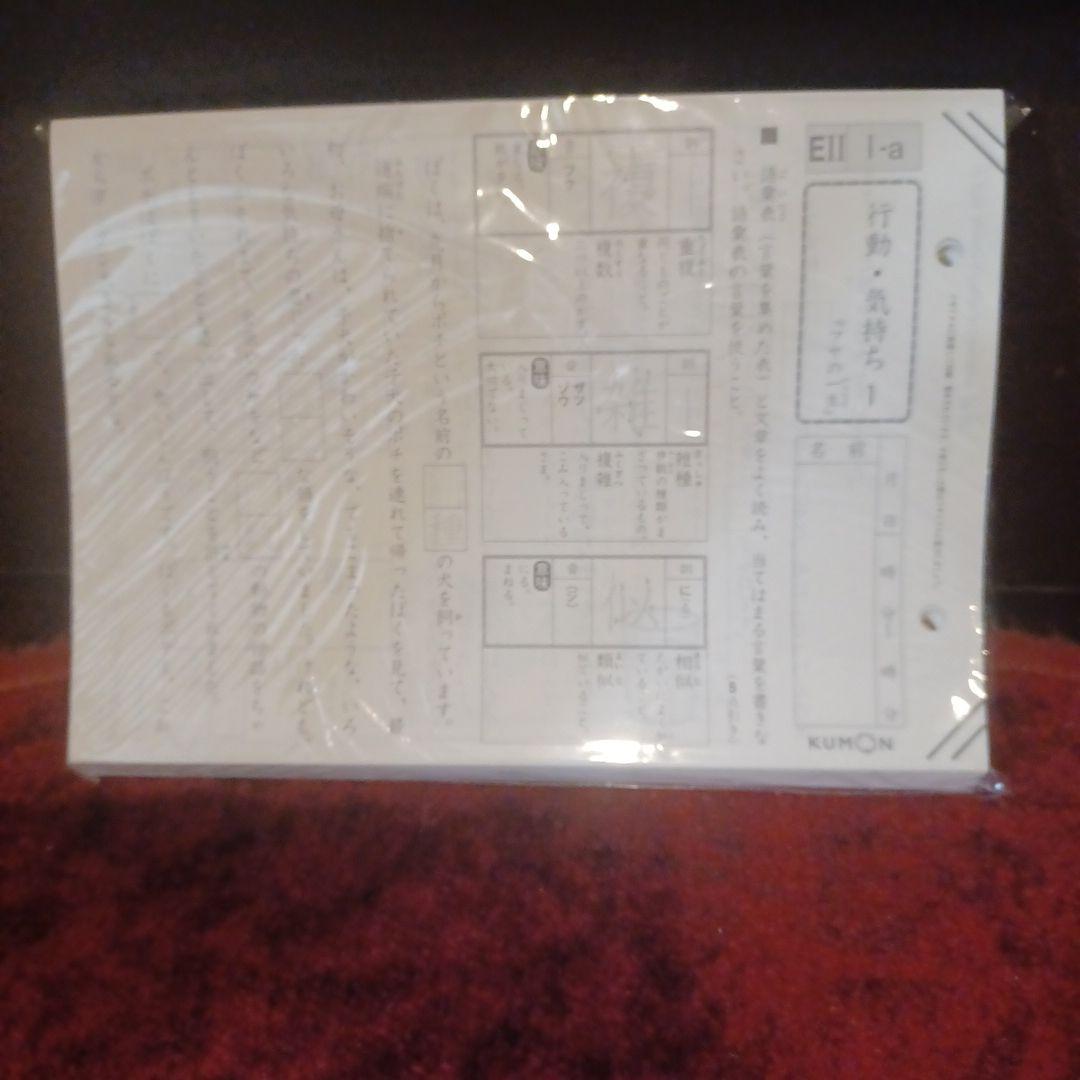 未記入　プリント　国語　E1EⅡ　400枚　解答つき