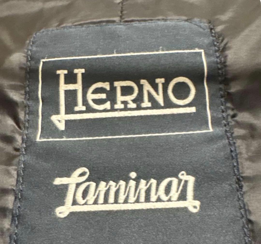値下げ⭐︎HERNOヘルノラミナーロングコートLaminar 42 極暖ダウン