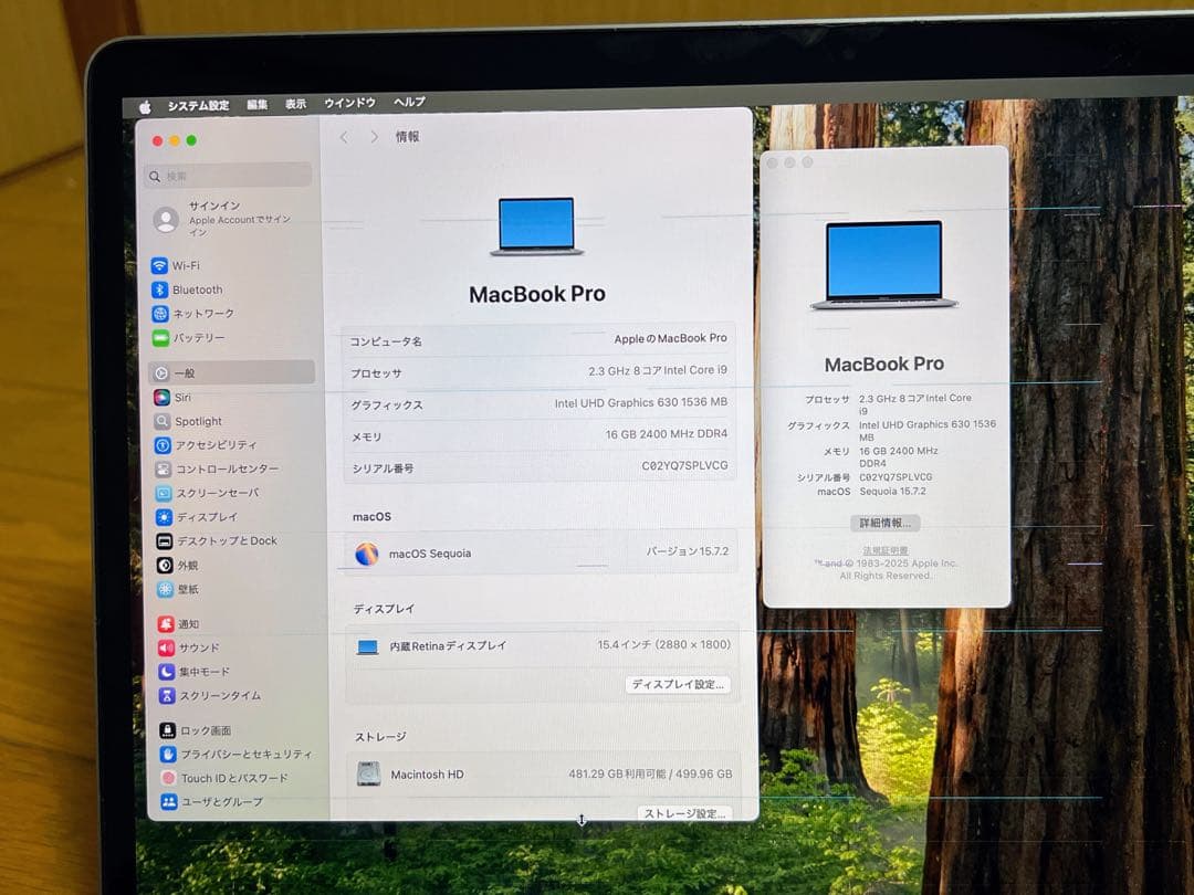 MacBook Pro 15インチ Core i9/16GB/SSD 512GB