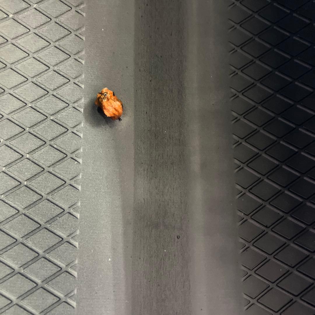 DL グランドトレックPT30 225/60R18 21年製 4本セット