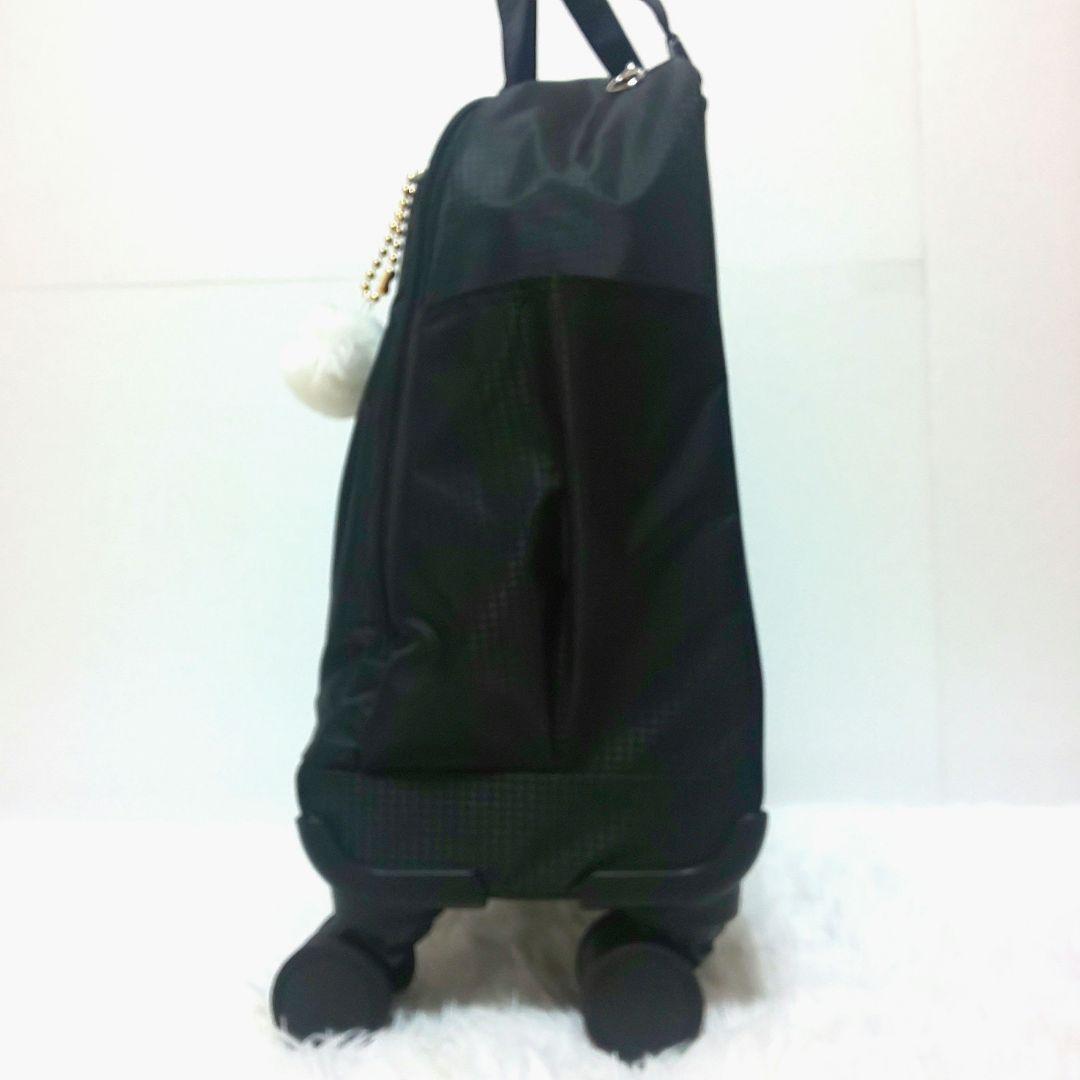 ✨極美品✨カナナ プロジェクト キャリーバッグ 機内持ち込み 21L チャーム付